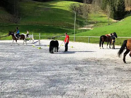 Photo de Horseback riding - TeÄaji jahanja Kaj-Å¾ar