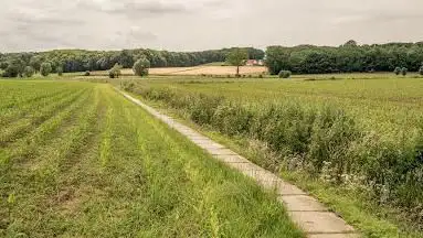 Bellegem Bos