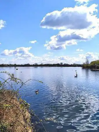 Photo de Fairlop Waters