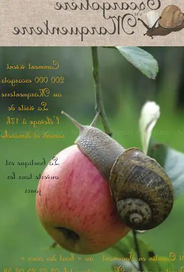Escargotière du Marquenterre