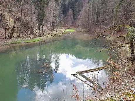 Wasserfall Wissbachschlucht