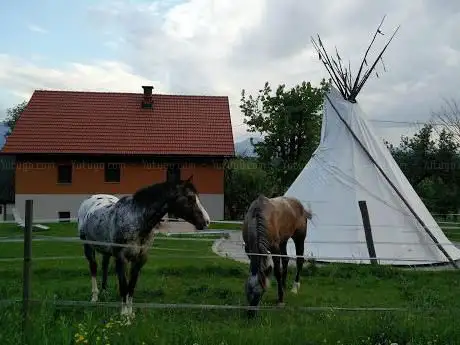 Photo de Appaloosa-Ranch