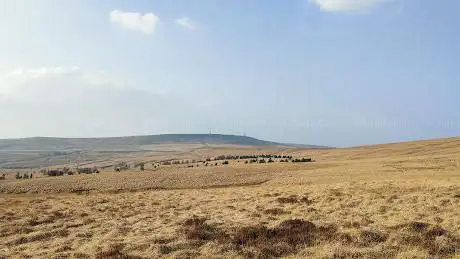 Standing Stones Hill