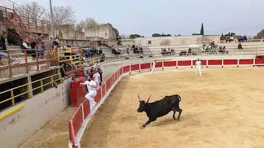 Photo de Arènes municipales Chomel-Coinon