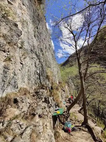 Valgua