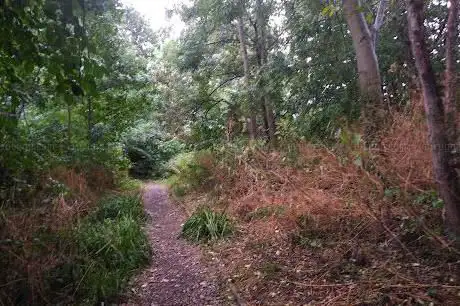 Photo de Heworth Holme