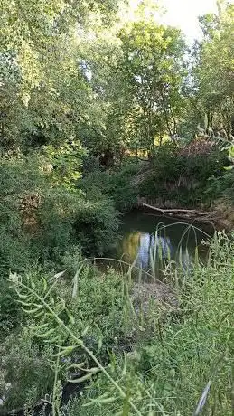 Photo de Foz del Quiñon