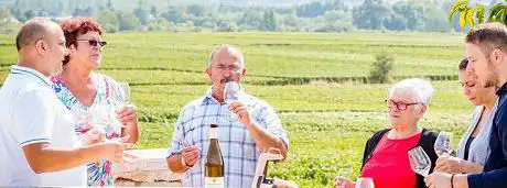 DIVIGNES | Wine Tours Beaune