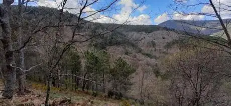 Photo de Reserva Natural Valle de Iruelas