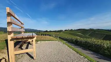 Hock im Weinberg