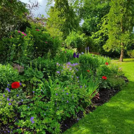 White Cottage Garden