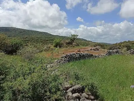 Tomba dei giganti di Laccaneddu