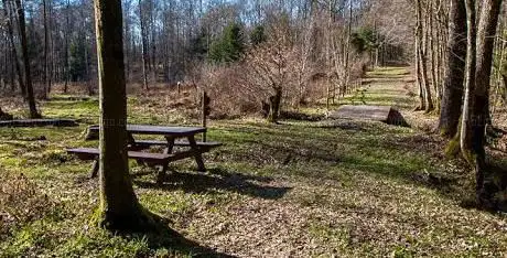 Photo de Arboretum Momignies Chimay
