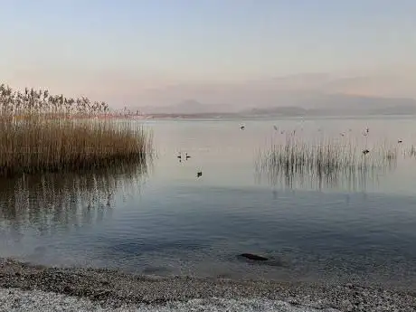 Passeggiata Clelia Guazzi Leoncini