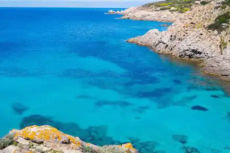 Tour Asinara