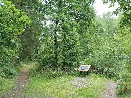 Coed y Werin