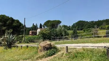 Photo de Campugliano Equitazione