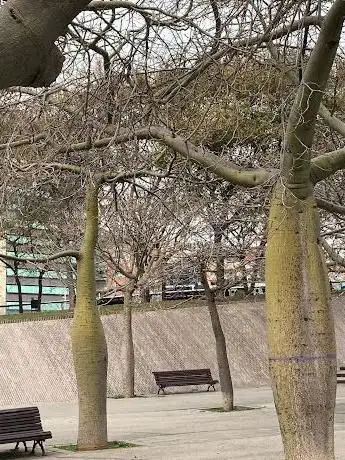 Photo de barras Park
