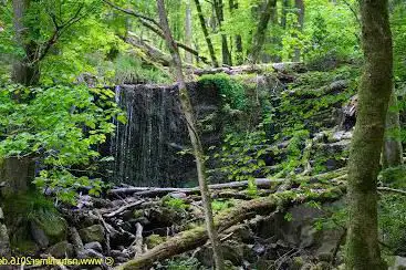 Photo de Wasserfall am Wenichbach (Kaiserweg)