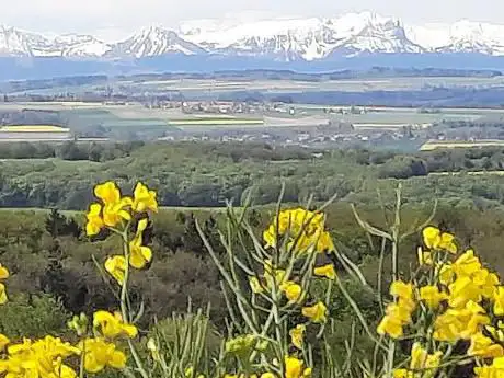 Photo de Paroisse de Fontenay-Les Cygnes