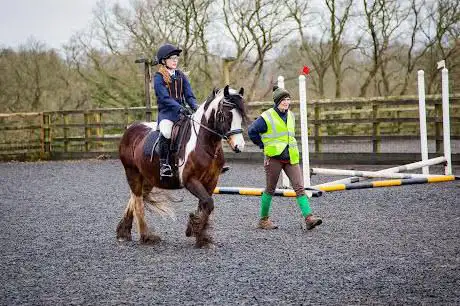Photo de Holtwood Farm Stables