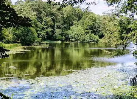 Photo de Compton Pools