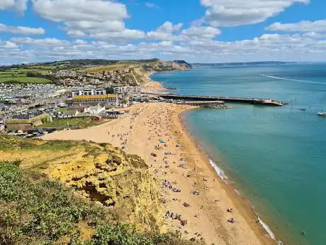 Jurassic Coast - Cliff