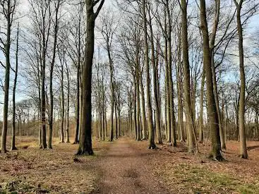 Bos Malderen
