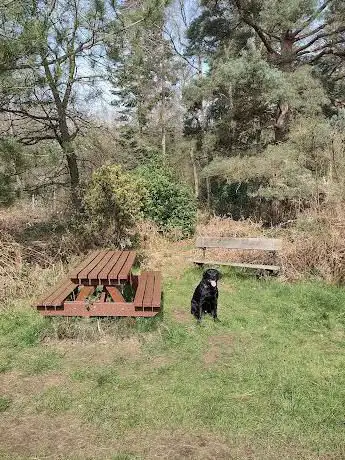 Photo de Picnic area  Osgodby Woods