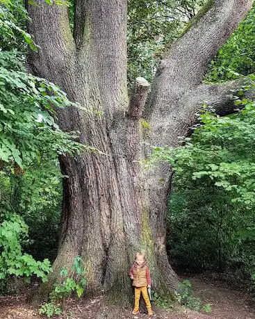 Photo de Parc Jacques Brel