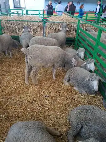 Photo de Pabellón Central Ferial de Zafra