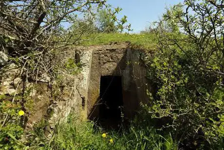 Photo de Necropoli del Ferrone