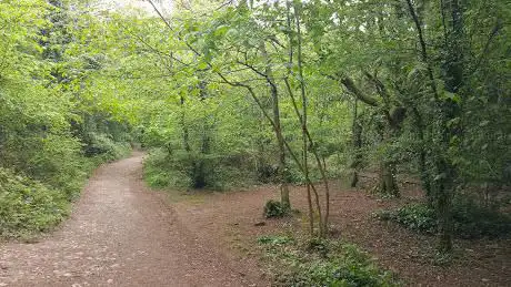 Photo de Worlebury Hill