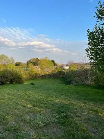 Hondenlosloopweide