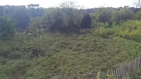 Campetto