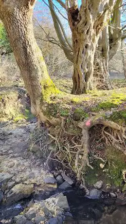 Sentier Des Sources
