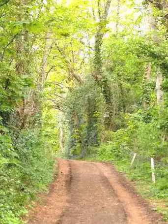 Photo de martins wood nature reserve