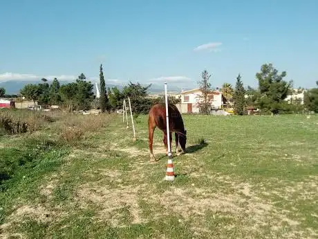 S'Arbuda E Su Seddazzu
