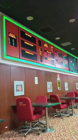 BINGO SRL