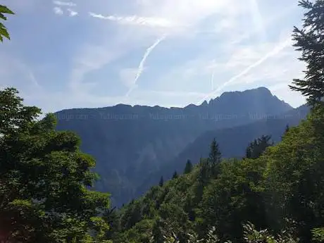 Photo de DrÅ¾avni Gozd
