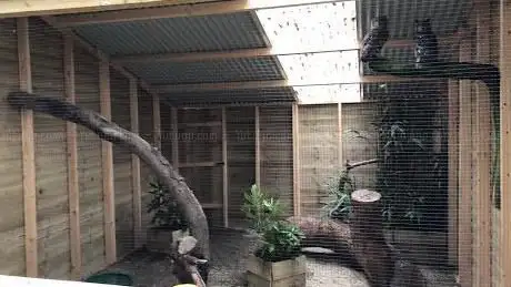 The Welsh Owl Garden