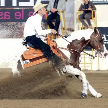 Photo de ASD Reining Horses