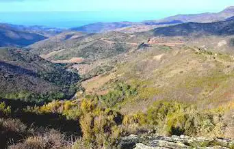 Photo de Coll du Berger Mort