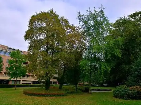 Photo de Parc Villers