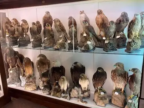 Photo de Wild Life Museum