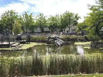 Photo de Les Animaux de la place - L'Ibis sacré