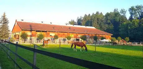 Pferde- und TherapieZentrum Weierhof AG