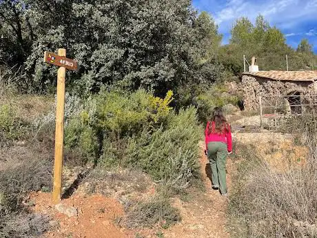 Photo de Cueva Chirivilla