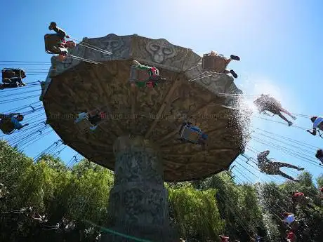 Photo de Monkey Swinger