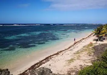 Plage de l'anse Michel